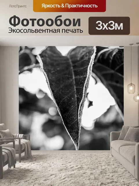 Фотообои Лист