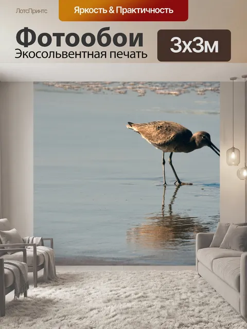 Фотообои Виллет кулик