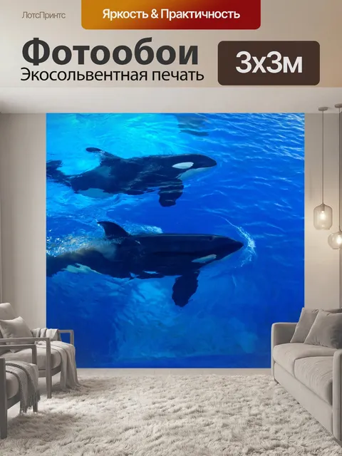 Фотообои Косатки
