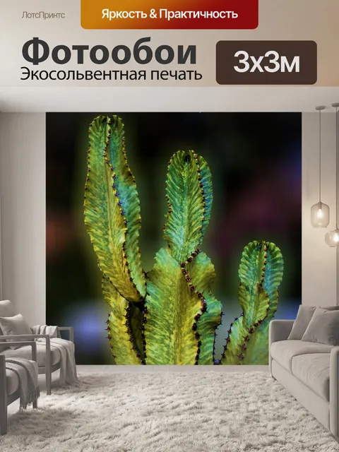 Фотообои Кактус