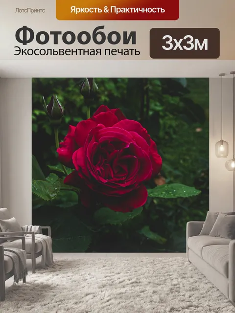 Фотообои Розовый
