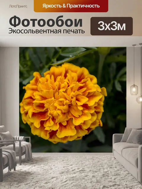 Фотообои Гвоздика