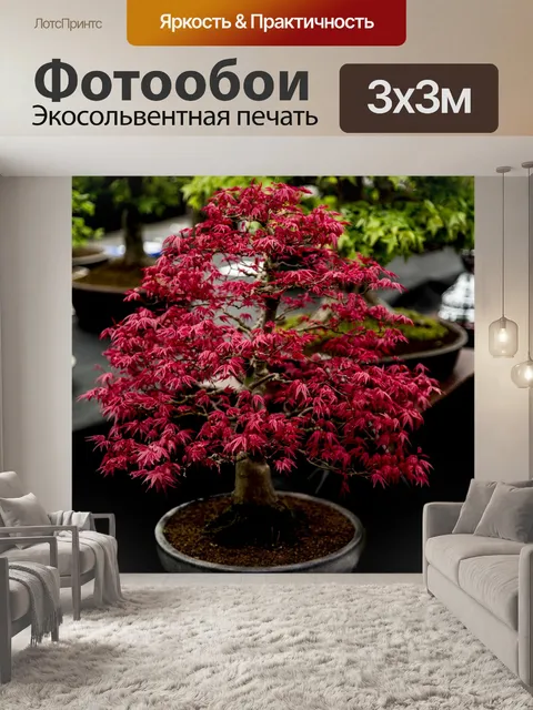 Фотообои Бонсай