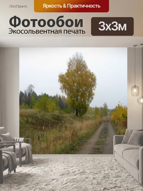 Фотообои Дорога