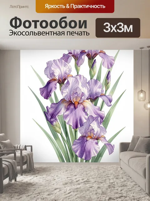 300 × 300 см · Экосольвентная печать