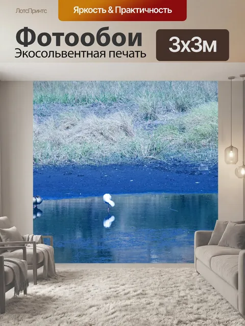 Фотообои африканская колпица на одной ножке