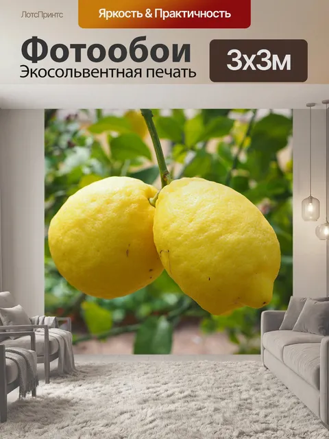 Фотообои Лимон