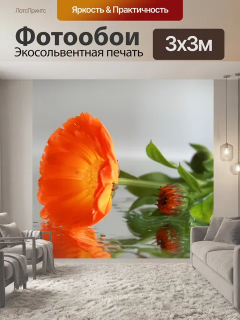 Фотообои Цветок