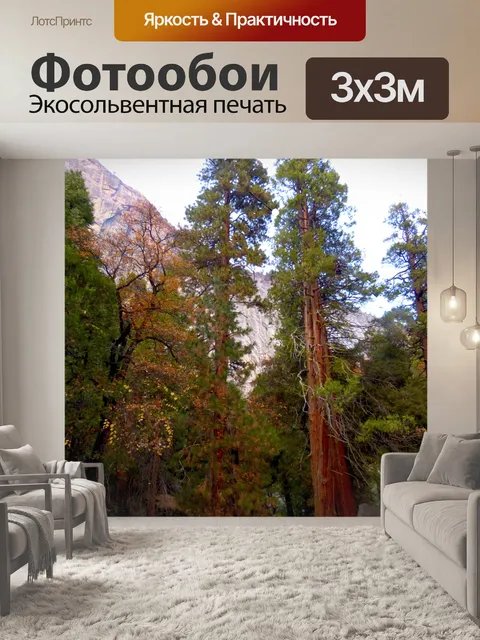 Фотообои Детские Секвойи Падение