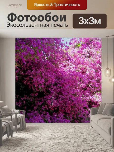 Фотообои Бугенвиль в полном расцвете