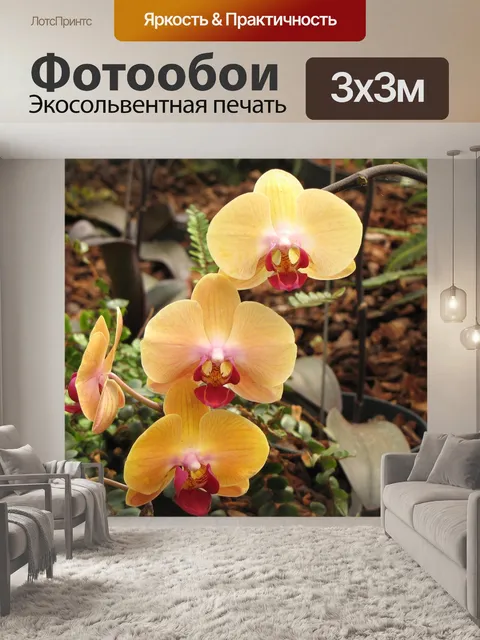 Фотообои Цветочный садик