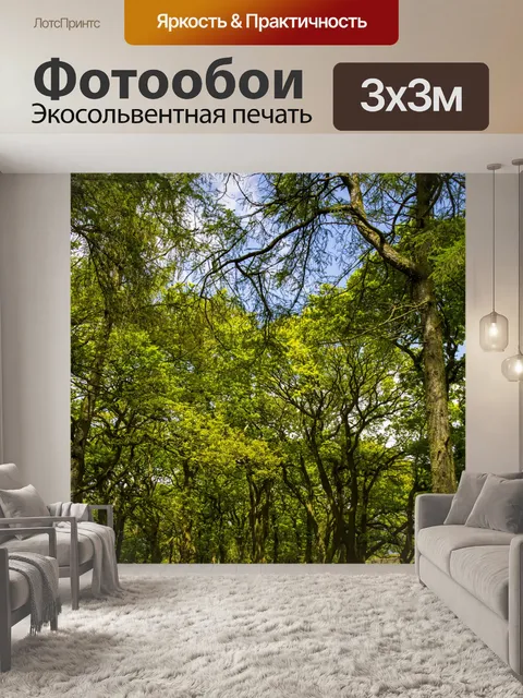 Фотообои Зеленый лес