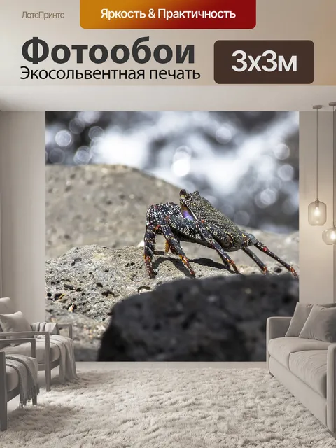 Фотообои Красный краб скалы