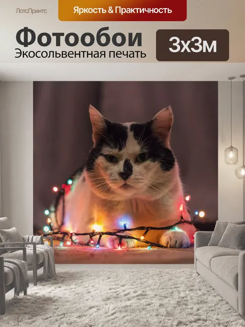 Фотообои Кошка