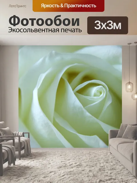 Фотообои Rose