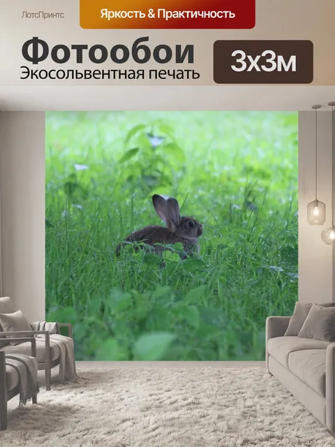 Фотообои Заяц