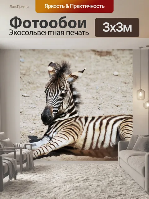 Фотообои Зебра