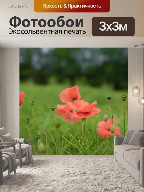 Фотообои Красный мак