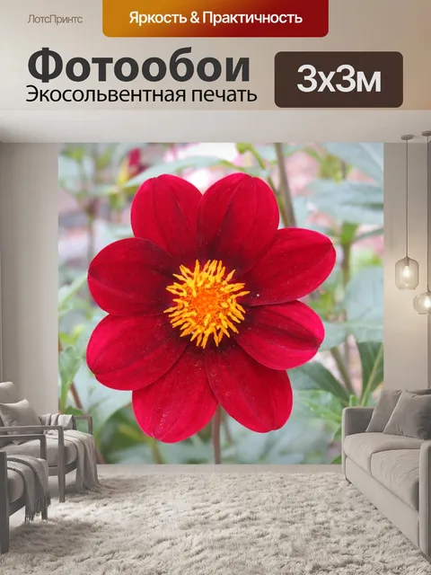 Фотообои Космос