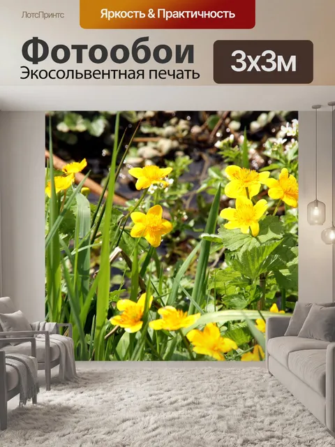 Фотообои Бархатцы болотные