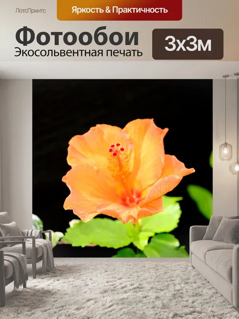 Фотообои Оранжевый цветок гибискуса
