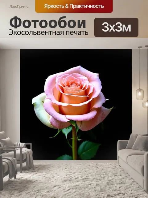 Фотообои розы в стиле кинематографический