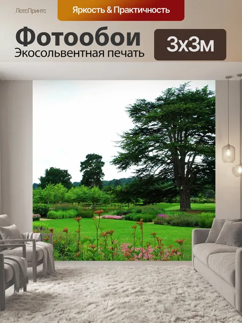 Фотообои Высокий