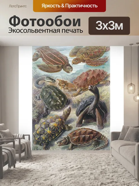Фотообои Панцирь черепахи старый