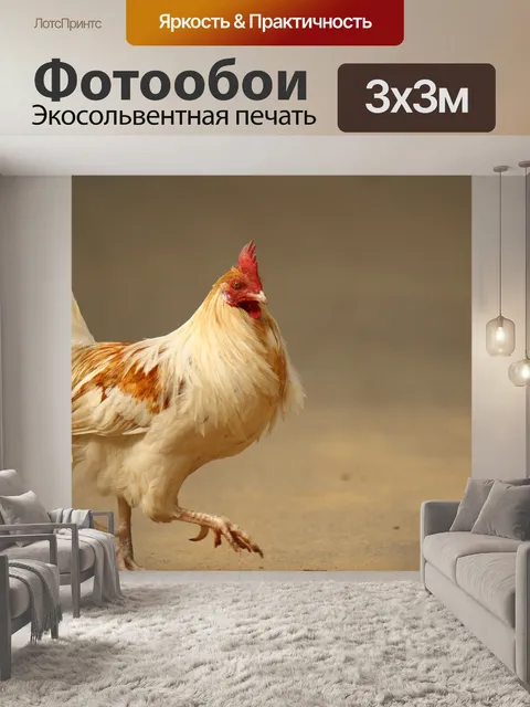 Фотообои Курица