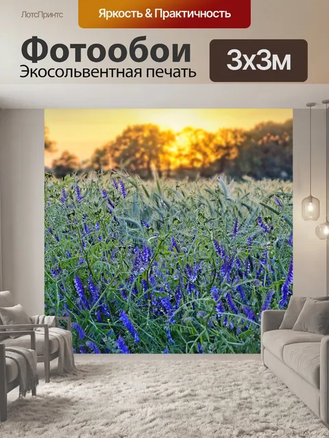 Фотообои Закатные луговые поля