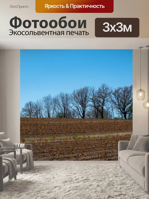 Фотообои Поле