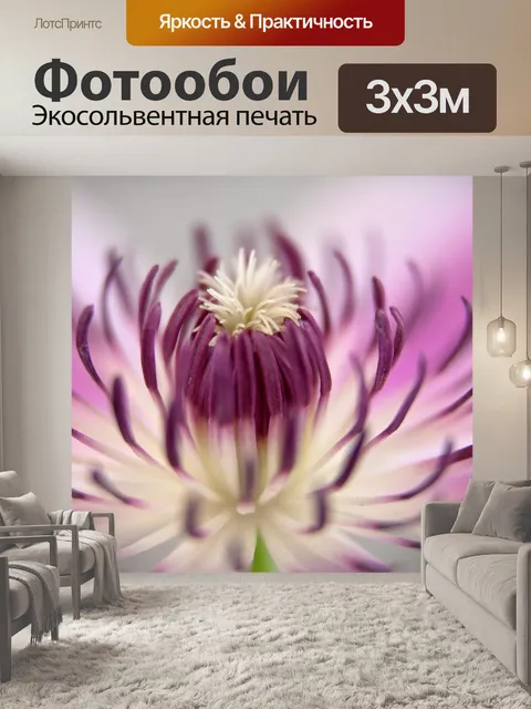 Фотообои Клематис цветок
