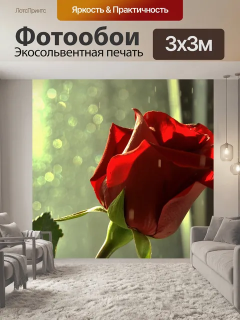 Фотообои Розы