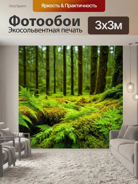 Фотообои зелёный мох и папоротники, густая травянистая подстилка, атмосферный лес