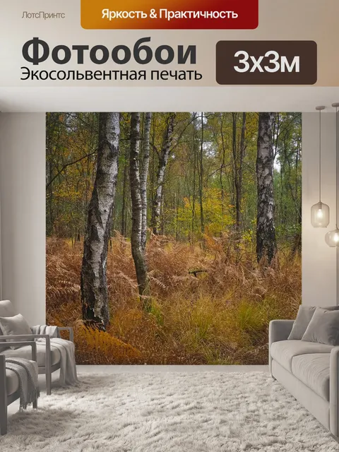 Фотообои Лес