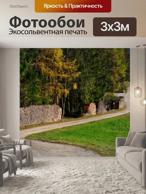 Фотообои Лесная тропа