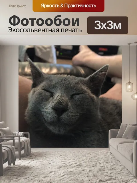 Фотообои Котенок