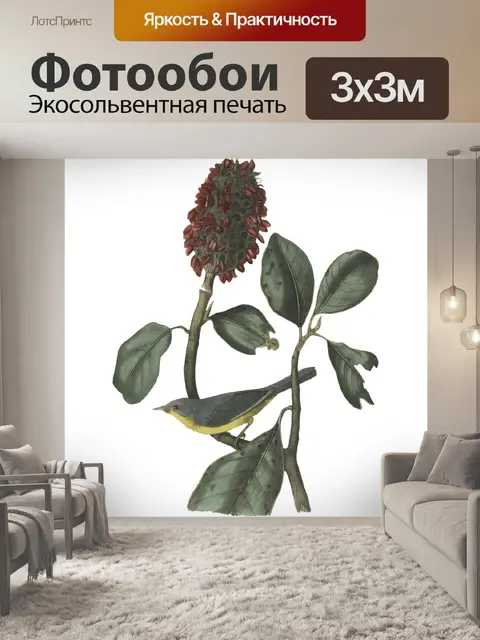 Фотообои Птица