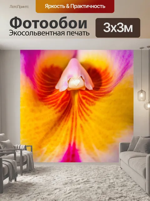 Фотообои Цветок орхидеи