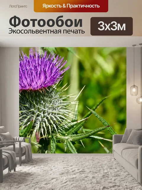 Фотообои Фиолетовый Thistle