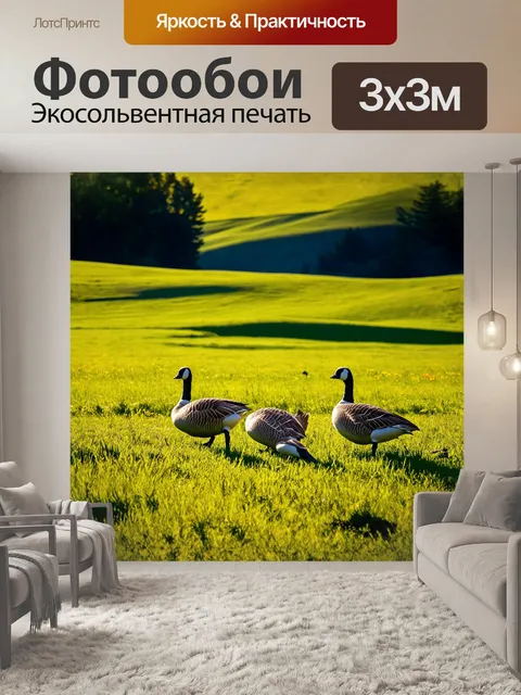 Фотообои гуси, пасущиеся на ярком зеленом пастбище, окружены зелеными холмами и высокими деревьями, простирающимися…