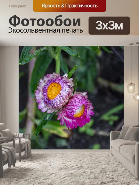Фотообои Залитые дождем цветы