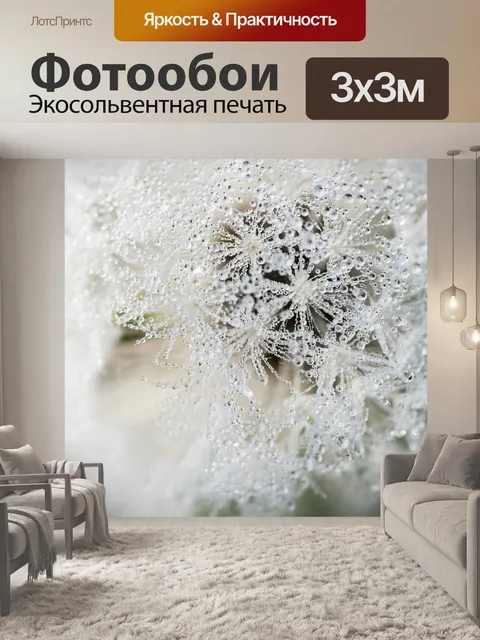 Фотообои Одуванчик