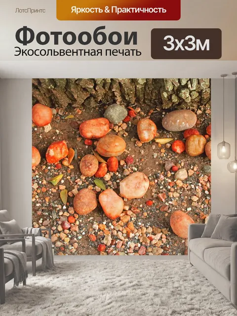 Фотообои крупные камешки у основания дерева