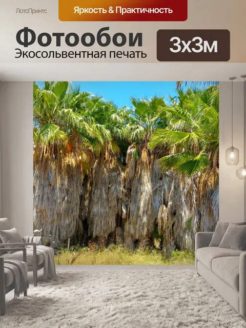Фотообои Неоткрытые пальмы