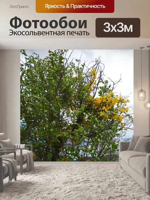 Фотообои куст с желтым цветком на лиане