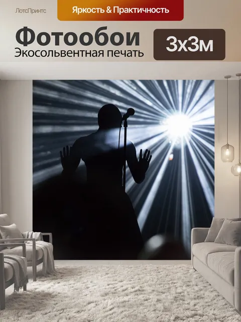 Фотообои Концерт