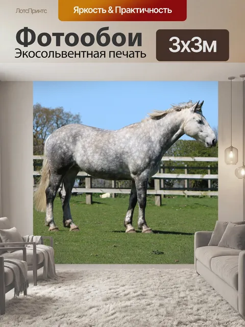 Фотообои Лошадь