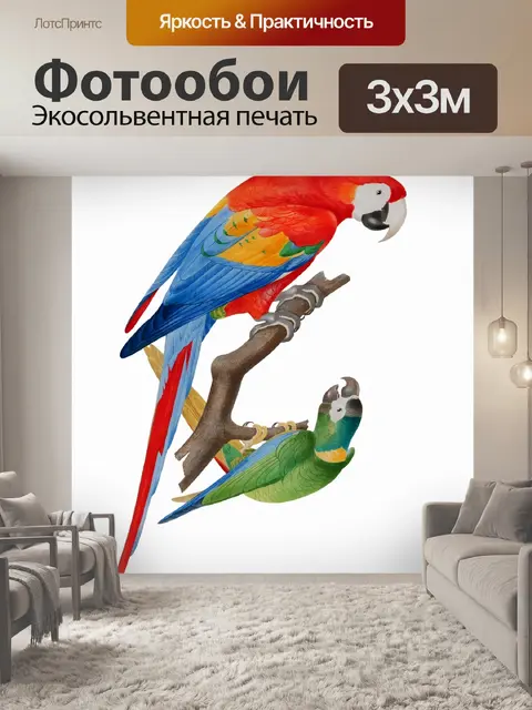 Фотообои Искусство Птицы Винтажный Ара
