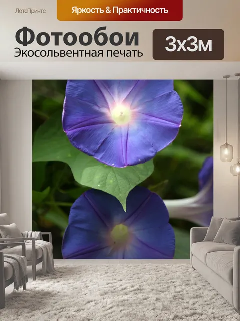 Фотообои синие славы утра
